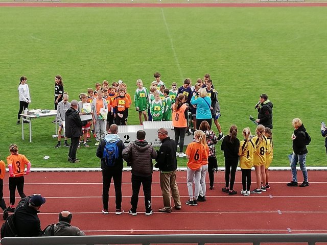 staf 14